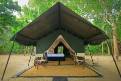 1_jungle-safari-tent-semi-deluxe3