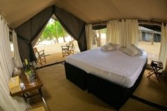 1_jungle-safari-tent-semi-deluxe4