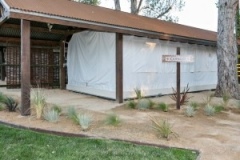 Jungle-Safari-Tent-Luxury-9