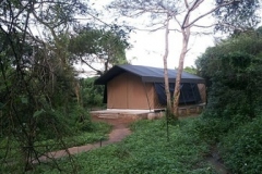 jungle safari tent semi deluxe2