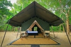 jungle-safari-tent-semi-deluxe3