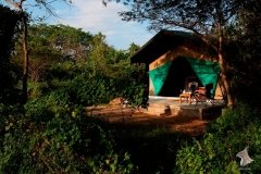 safari-tent_3