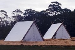 viking period tents