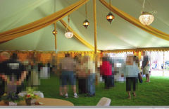 grand-maharaja-tent-2