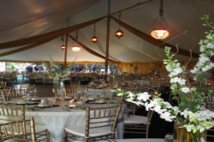 grand-maharaja-tent-3