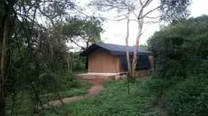 jungle safari tent semi deluxe2