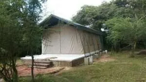 jungle-safari-tent-semi-deluxe