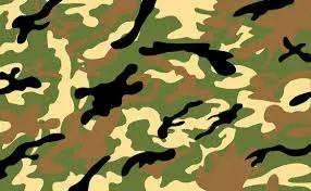 canvas and tent fabrics, camouflage fabrics